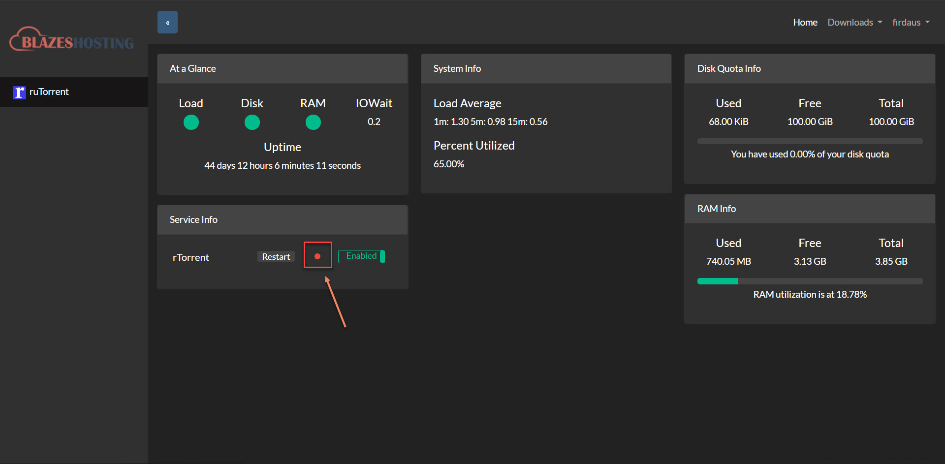 rTorrent service problem.